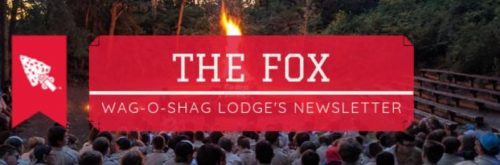 The Fox - Header 4 The Fox - Header 4